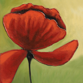 RED POPPY I